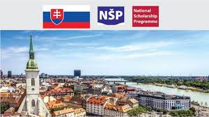 Government Of Slovak Republic Foreign Students Scholarships.