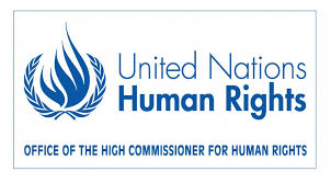 UN Human Rights Commission Fellowship Program