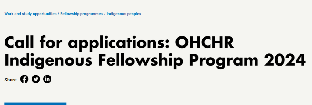 United Nations OHCHR Indigenous Fellowship Programme
