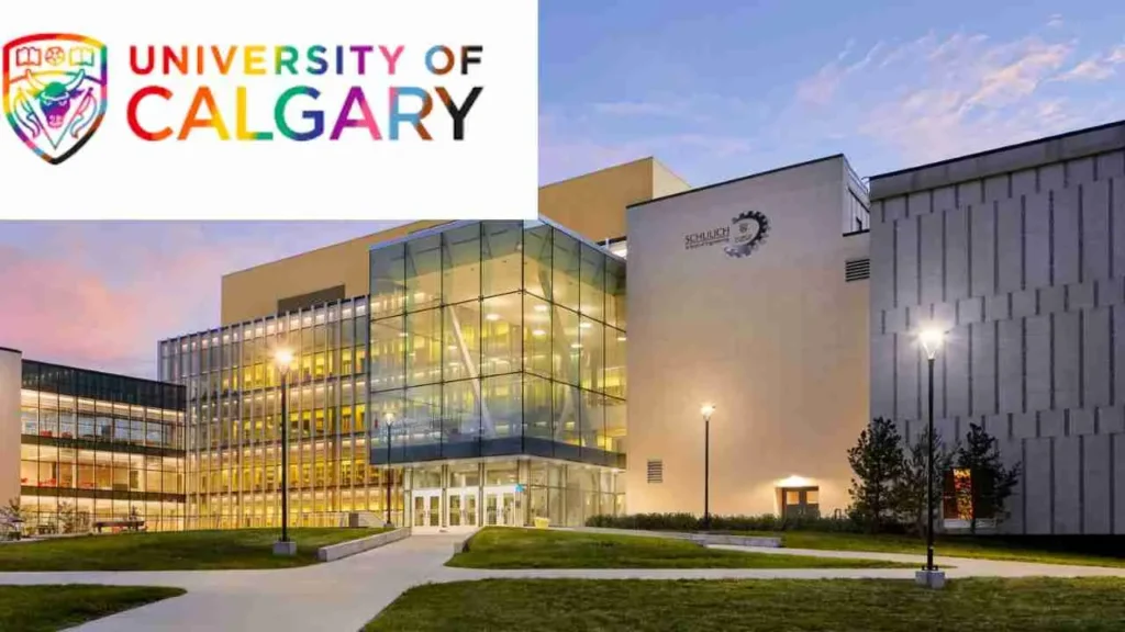 University of Calgary Energizing Canada International Entrance Scholarship.