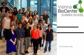 Vienna Biocenter Summer School for Undergraduate Students Worldwide
