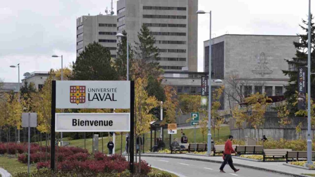 University Of Laval Undergraduate Scholarship For International And Sub-Saharan African Students
