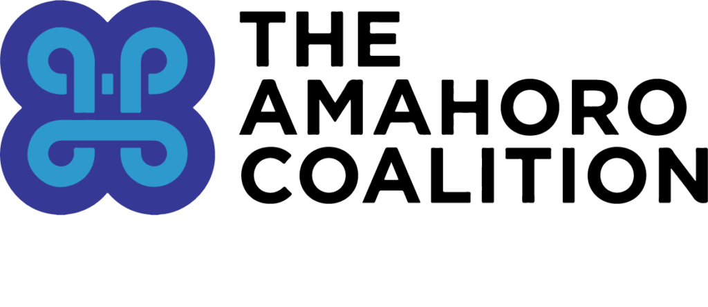 Forcibly Displaced Persons Amahoro Fellowship Program