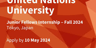 United Nations University Junior Fellows Internship Program