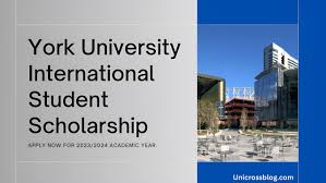 University of York GREAT Postgraduate Scholarship 2024.