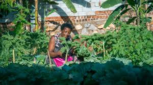 Ban-Ki-Moon Elevating the Voices Of Women In Agriculture Changemakers